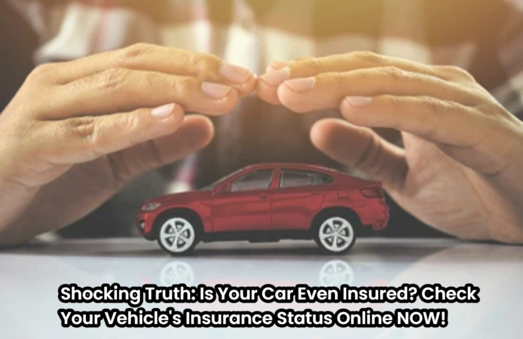 Vehicle's Insurance